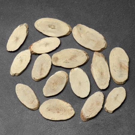 Saw the tree "oak", oval, d = 3-4 cm, h = 3.5 mm-1