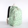 A backpack with a zipper, bag, cosmetic bag, green color