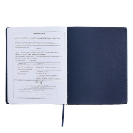 School diary for grades 1-11, 70/30 %, firm covering with foam, artificial leather, silkography, liesse, universal cheat sheet, 48 sheets, block 80g/m2-12