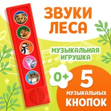 Musical developing toy 