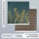 Scrapbooking paper bilateral "fan and multi -traffic gold" density 180 g 30.5x32cm