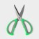 Scissors kitchen shares "Assistant", 15 cm, green color