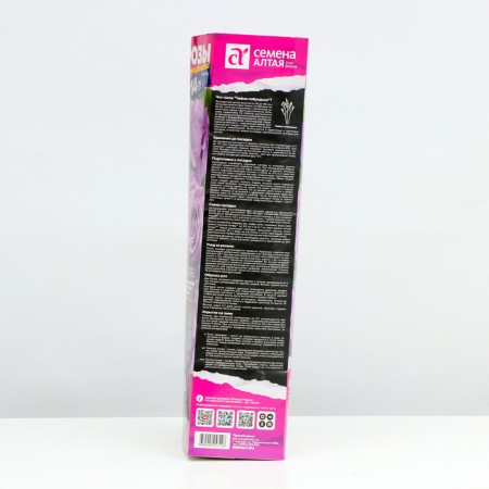 Seedling rose tea-hybrid Claude Brasser, 1 pc, spring 2024-2