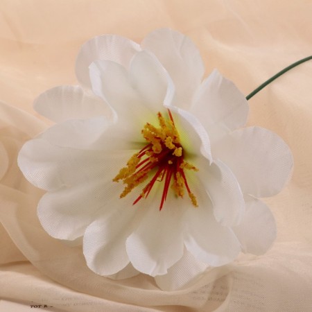 Artificial flowers "Loner Chrisp" D-11 cm H-20 cm, white-1