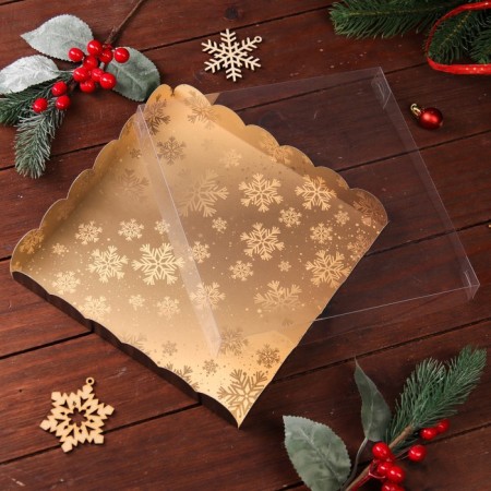 Cookie box "Happy New Year!", 21x21x3-2