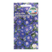 Fatzelia flowers 