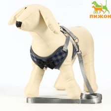 A set of ammunition with a soft harness, m, leash 120 x 1 cm, Osh 28-48 cm, OG 32-52 cm, gray