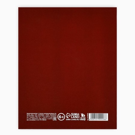 School diary for grade 1-11, in an integrated cover, 40 l. "Anime. Guy"-4