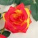 Artificial flowers "Troy rose" 6x61 cm, orange