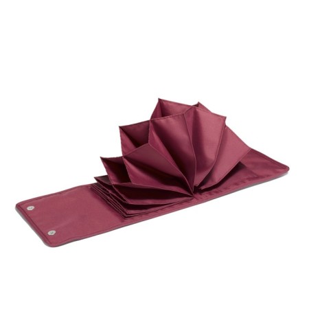 Folder-organizer for a circle. Nostalgia spokes-1