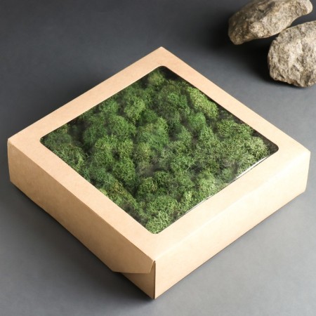 Moss Yagel stabilized "natural green" 300 gr.-3