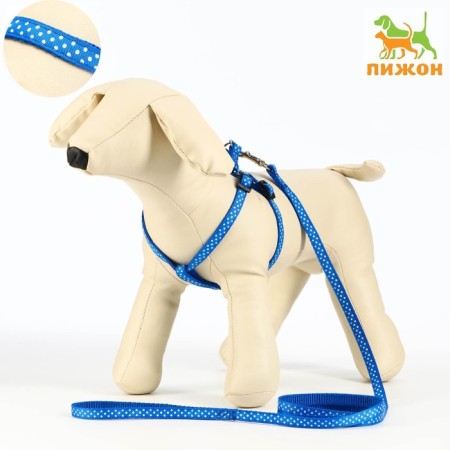The set of stitched "peas", leash 120 x 1 cm, OG 23-35 cm, blue