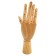Mannequin anatomical details tree: female right hand, 25cm gamma "Studio"