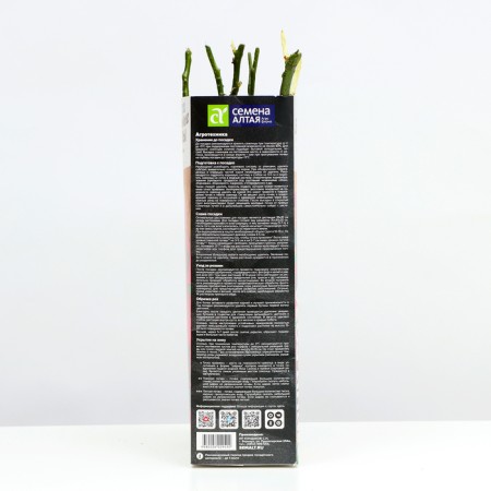 Gikho seedlings, spring 2024, 1 pc.-2