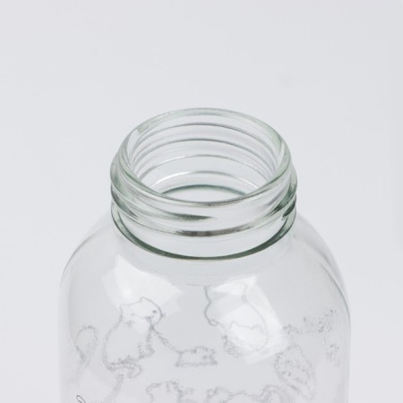 Water bottle "Kitty", 500 ml, glass-2