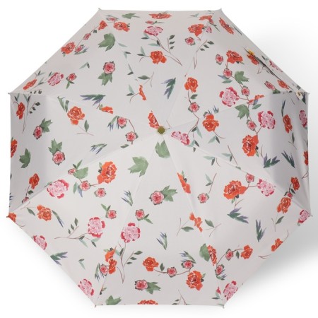 Automatic “Nature” umbrella, eponge, 3 addition, 8 spokes, r = 48 cm, color mix-6