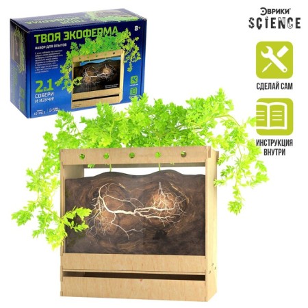 Set for experiments "Your Ecofroma", 2 in 1