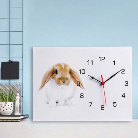 Carty watch wall-mounted "hare", smooth move, 30 x 40 cm, 1 aa-2
