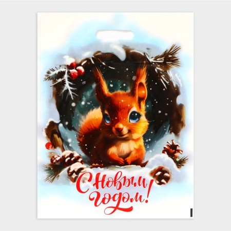 New Year. The package "Squirrel Happy New Year", plastic with a cut pen, 38x47 cm.
