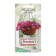Flower seeds of purslane ampel "pink pearls" 5 pcs