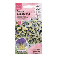 Viola flowers 