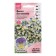 Viola flowers "Kul Vayb Bluberry Svirl F1", 5 pcs