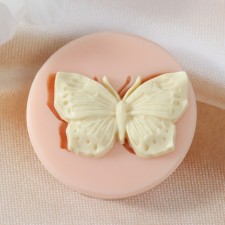 Mold Silicon 