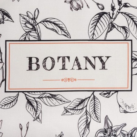 Ethel towel "Botany" 40x73cm, reps 210g/m2, 100% cotton-2
