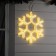 Neon figure "Snowflake", 50 cm, 480 LED, 220 V, glow warm white