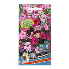 Square seeds 