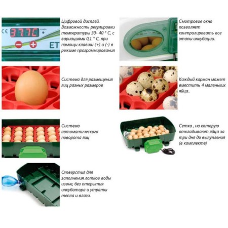 Incubator, for 12 eggs, automatic coup, 120 in-3