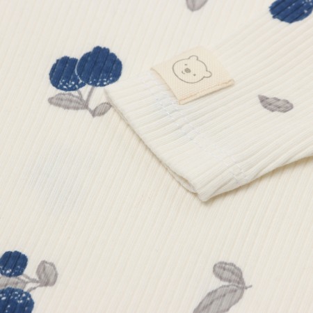 Body with DL. Sleeve crumb I am Blueberry p. 74-80, milk-2