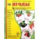 Demonstration pictures. Berries.. 16 demonstration pictures with text. 174x220 mm