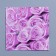 Paper Napkins "Roses", 33 × 33 cm, set 20 pcs., Lilac color