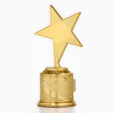 Cup Award Figure: Star of a cast “winner in life” gold, plastic, 16.5 x 6.3 cm.-3