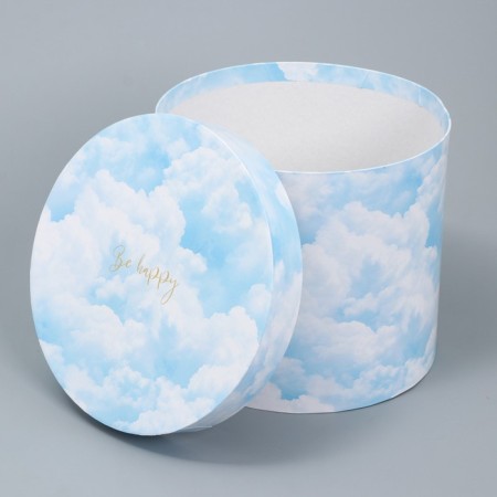 A set of hats for flowers 4 in 1, gift packaging, “clouds”, 14 x 13 cm - 20 x 17.5 cm-5
