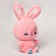 Napchik children with a soft toy "Bunny"
