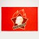 Pioneer flag, 60 x 90
