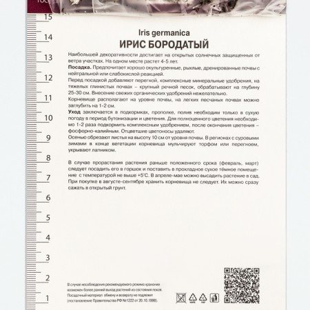 Iris bearded immorality, rr I, 1 pc, spring 2025-3