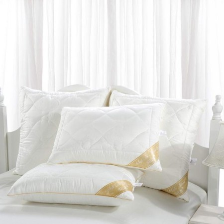 Silk pillow, size 40x60 cm