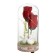 Night -night flask "Two Swan" LED from batteries LR44 8x8x19 cm Risalux