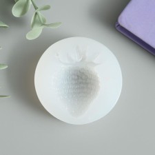 Mold Silicon 