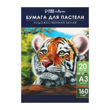 A3 pastel paper, 20 sheets "Tiger", block 160 g/m2, in the folder-1