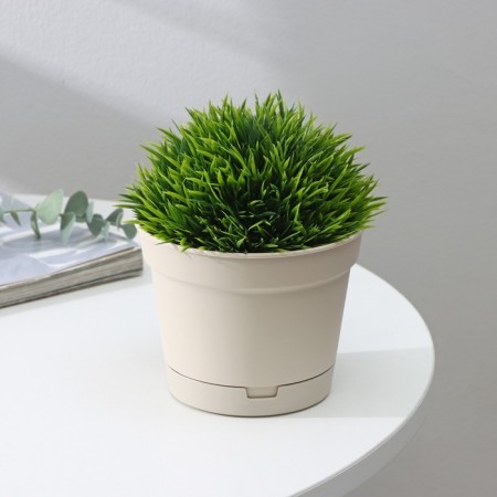 Pot for flowers with a mincate pallet, 700 ml, d = 12 cm, h = 9.4 cm, the color is lightweight-1