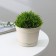 Pot for flowers with a mincate pallet, 700 ml, d = 12 cm, h = 9.4 cm, the color is lightweight