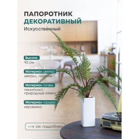 Fern in a ceramic pot, 110 × 110 × 930 mm, green / white color