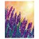 Pillow Boal "Lavender at dawn, decorative, size 16x45 cm