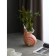 The table is a "shell 4", pink. Mix