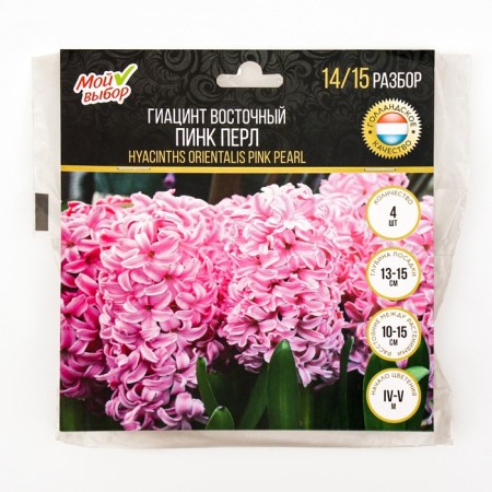 Hyacinth East Pink Perl, rr 14/15, 4 pcs, autumn 2024-2