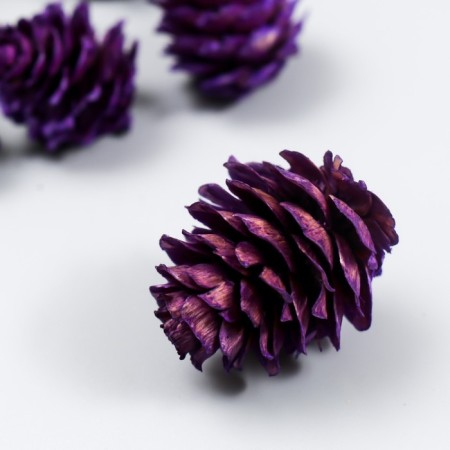 Decor for creativity "Pine violet bump" size 2-4 cm-2